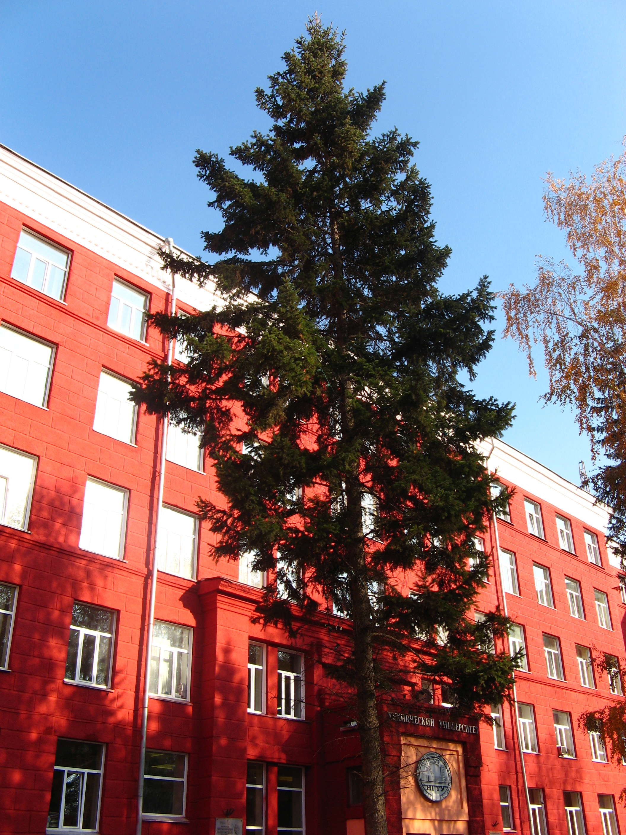 НГТУ (НЭТИ), Новосибирск